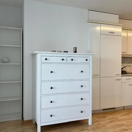 Avec Acces Direct Au De Geneve 公寓 Saint-Gingolph