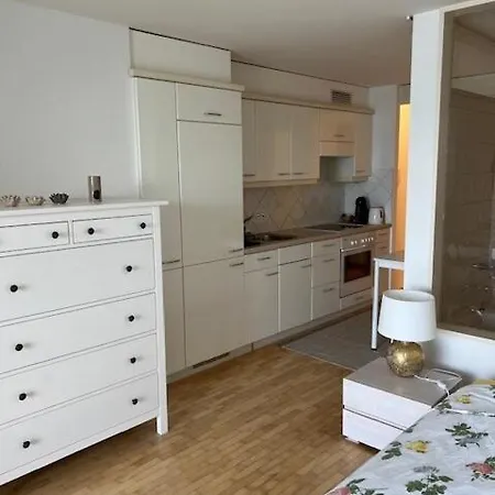 Avec Acces Direct Au De Geneve *