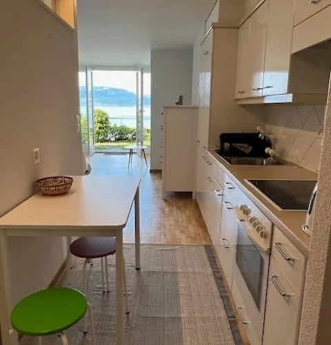 Avec Acces Direct Au De Geneve * Saint-Gingolph