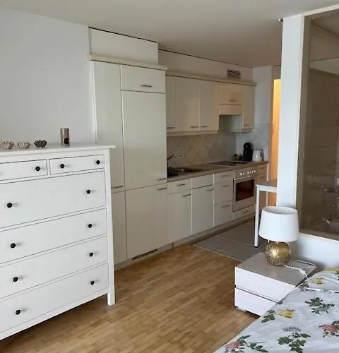 Avec Acces Direct Au De Geneve *